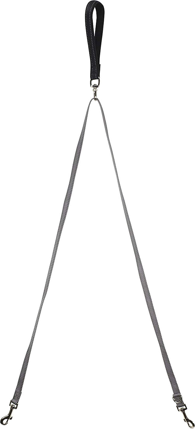 Petsafe Two Point Control Leash, Black/Gray, 3/4 in 4ft - Specialty