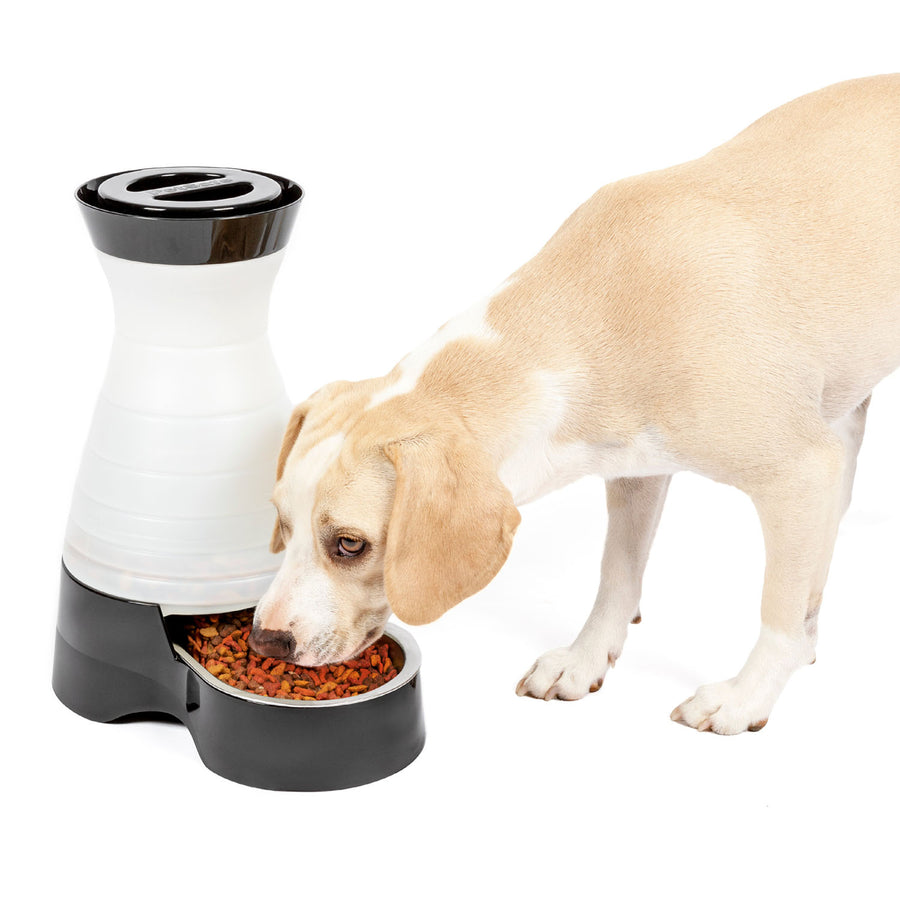 Petsafe Healthy Pet Food Station, Black, MD - Automatic Feeders/Waterers