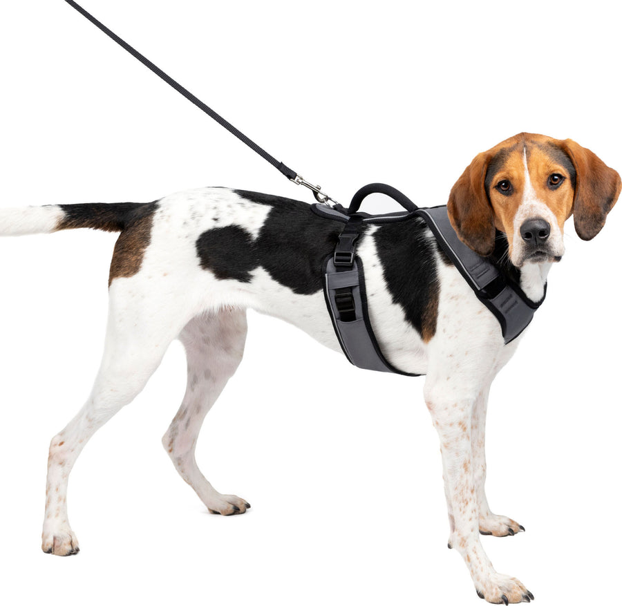 Petsafe Easysport Dog Harness, Charcoal, LG - Harnesses