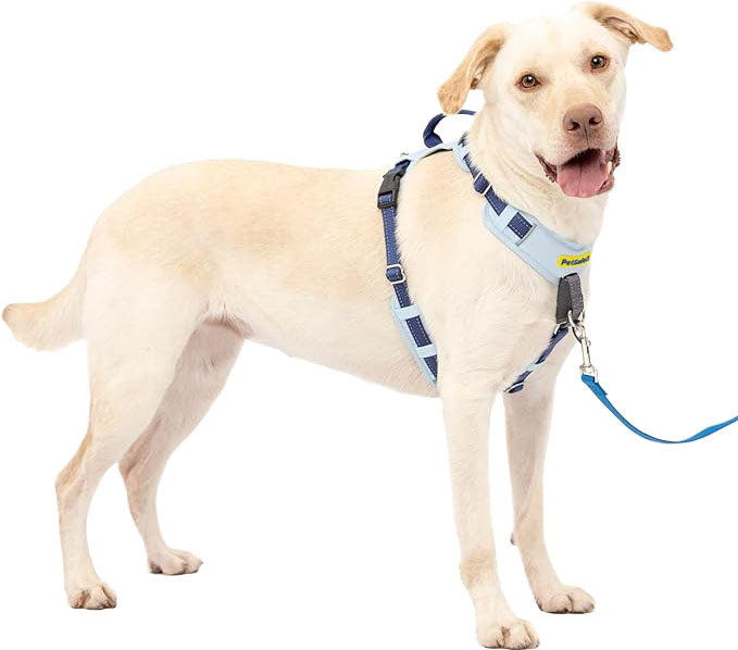 Petsafe Easy Walk Comfort Harness, Blue, LG - Harnesses