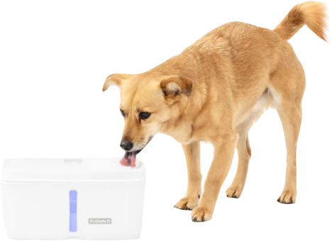 Petsafe Viva Pet Fountain Plastic Tray, White, 140 oz - Fountains