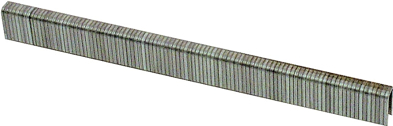 5390323.jpg