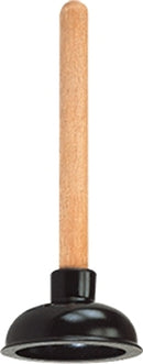 5447354.jpg