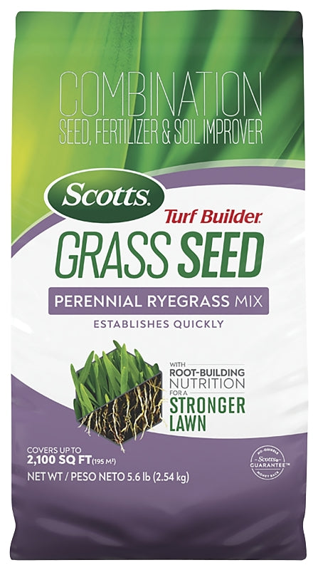 Scotts Turf Builder 18039 Perennial Ryegrass Grass Seed