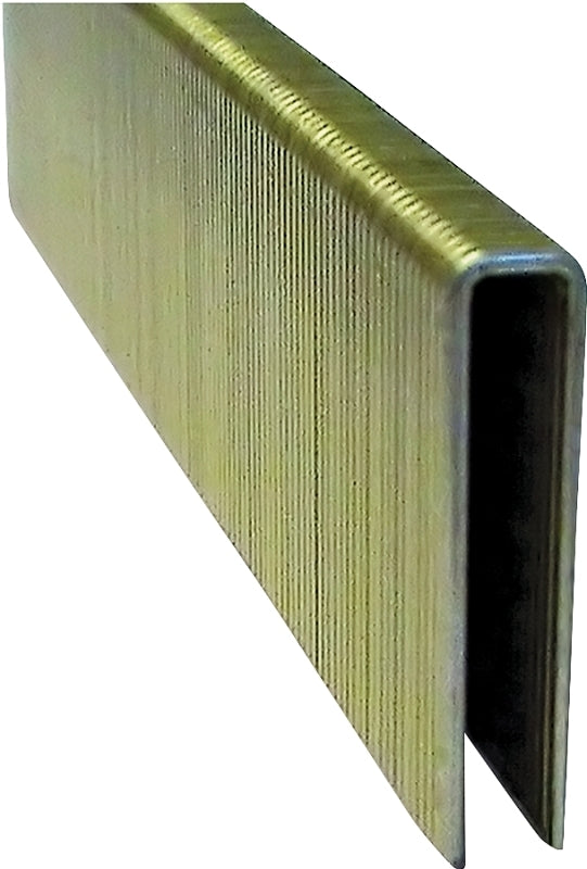 ProFIT 718233 Crown Staple