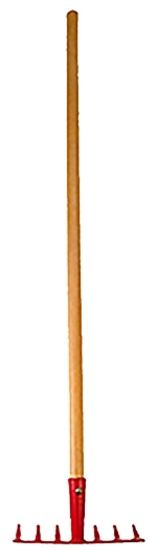 5847538.jpg