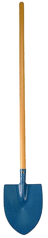 5847546.jpg