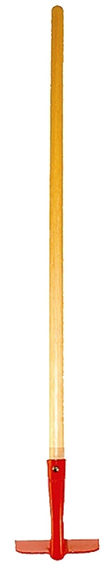 5847686.jpg