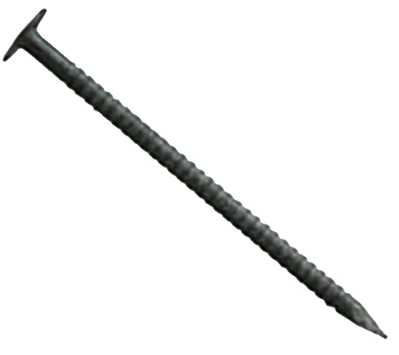 5902457.jpg