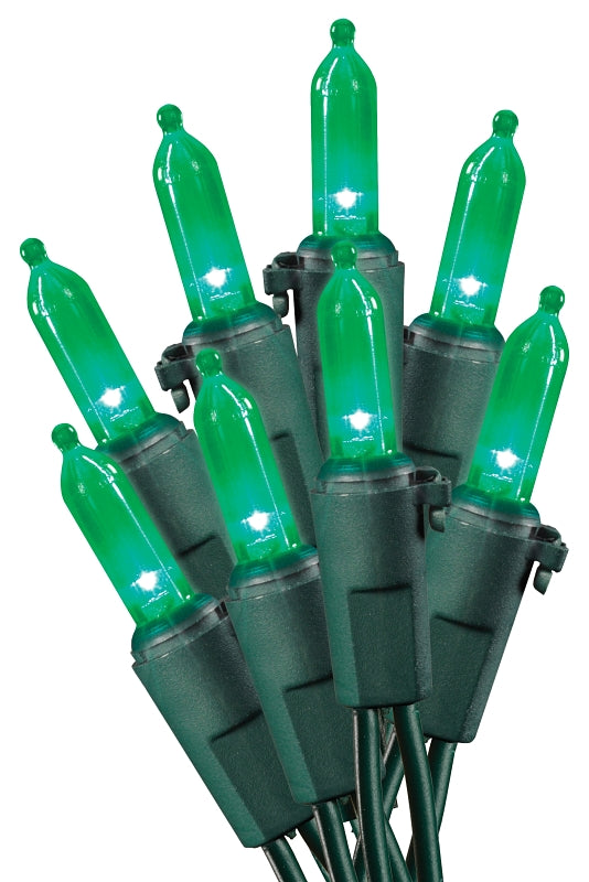 Hometown Holidays U10E406F Mini Light Set