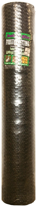 Jackson Wire 12 01 48 29 Poultry Hex Netting