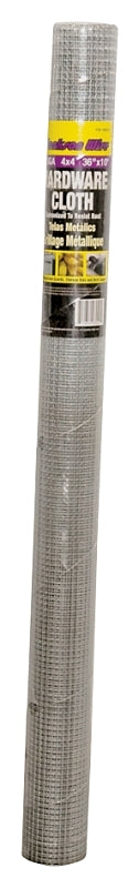 6100762.jpg