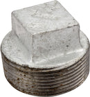 6103162.jpg