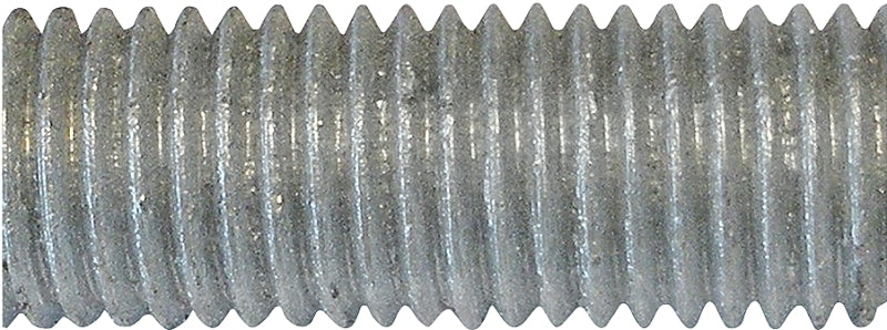 6120430.jpg