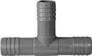 6136782.jpg