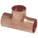 6141907.jpg