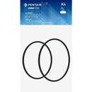 6190219.jpg