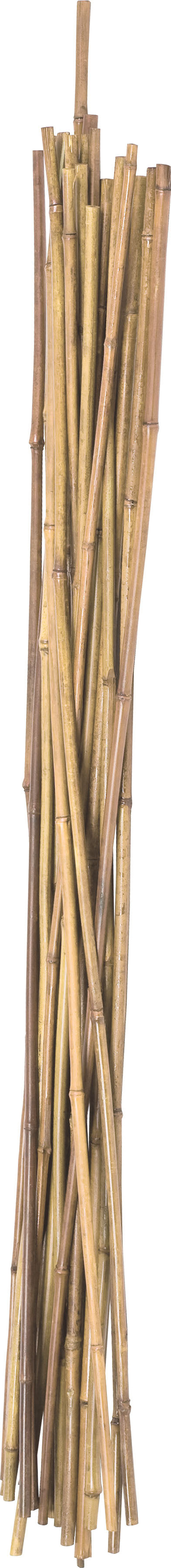 Panacea Products Natural Packaged Bamboo Stakes, 3 ft-24 pk - Stakes and Supports