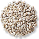 Home and Country USA Safflower Bird Seed - 25 lbs Bag Safflower Seed Ideal for Wild Bird Feeding and Bird Feeders