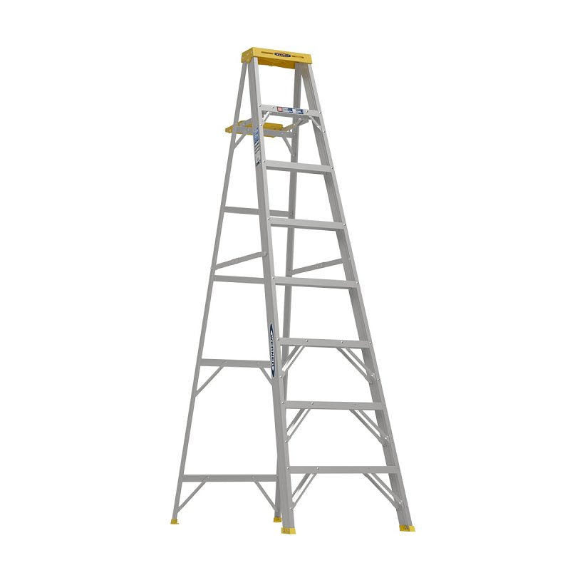 6252969.jpg