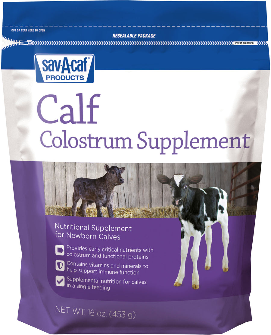 Sav-A-Caf Colostrum Supplement for Newborn Calves, 16 oz - Colostrums