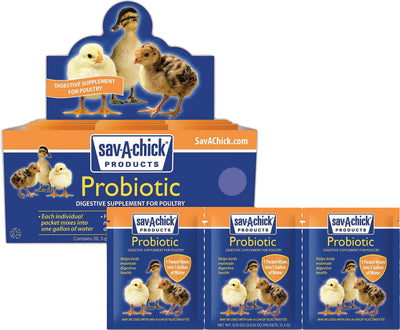 Sav-A-Chick Probiotic Supplement, .17 oz-3 pk - Supplements