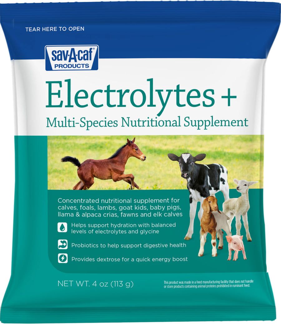 Sav-A-Caf Electrolytes Plus Multi-Species Supplement, 4 oz