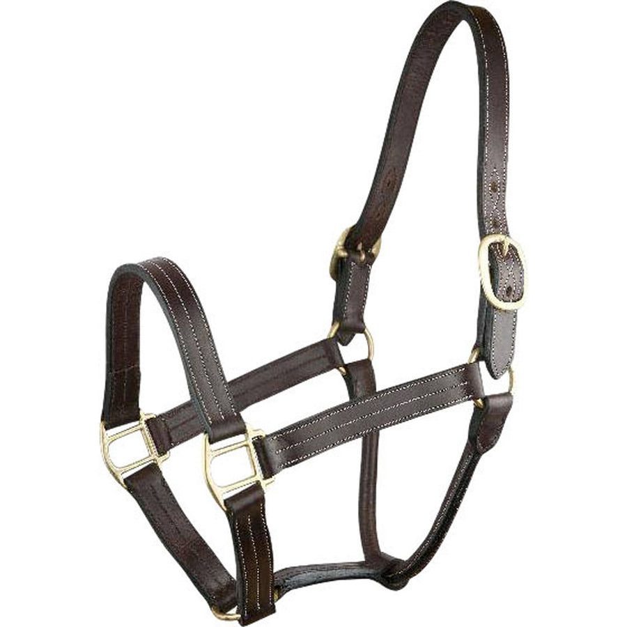 Gatsby Triple Stitched Leather Halter Without Snap, Havana, Horse