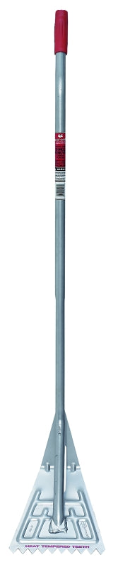 6412530.jpg