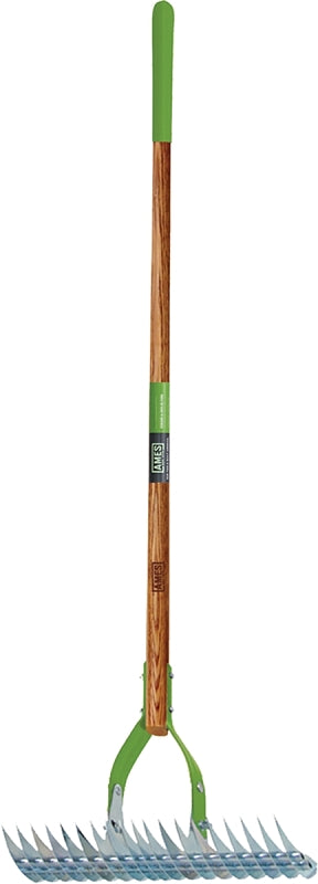 Ames 2915100 Thatch Rake