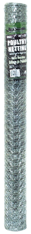 6490908.jpg