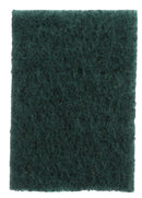 6510937.jpg