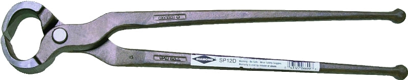 6516637.jpg