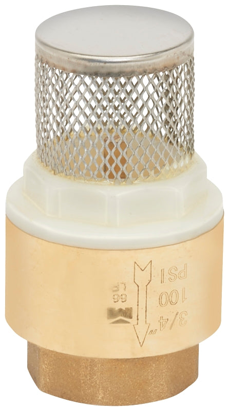 B & K ProLine Series 101-324NL Foot Valve