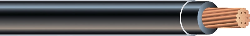 6541668.jpg