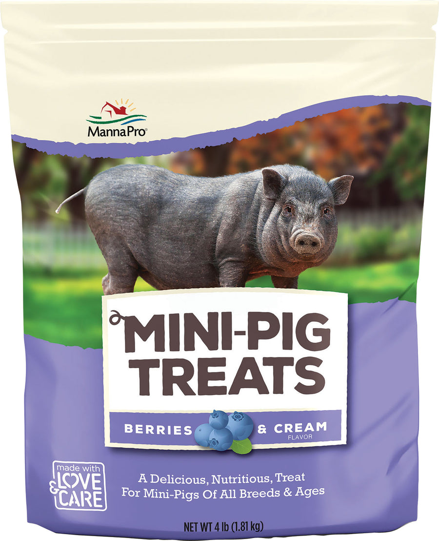 Manna Pro Mini-Pig Treats, Berries/Cream, 4 lb - Nutritional Feed