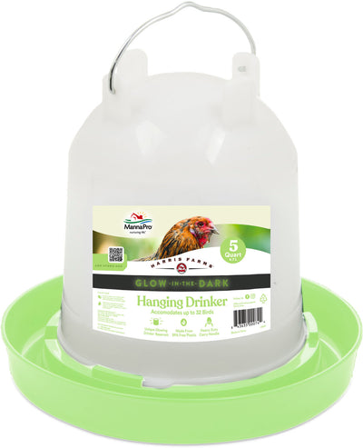 Free Range Glow Drinker, Lime, 5 qt - Waterer