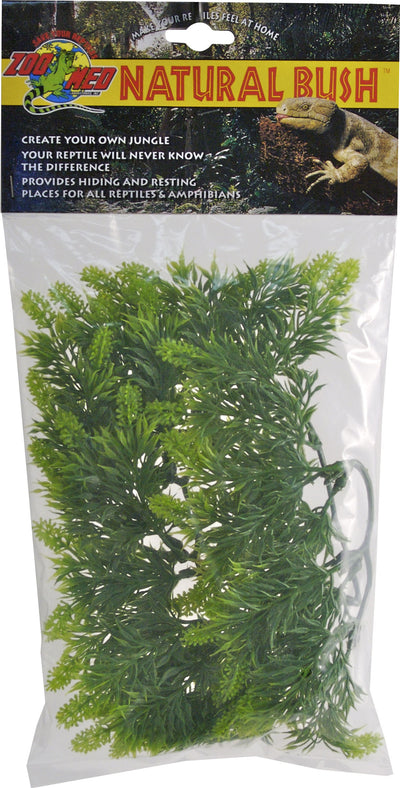 Zoo Med Natural Bush Malaysian Fern Plant, Green, sm-14 in - Plants