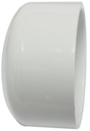6801955.jpg