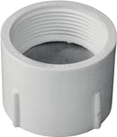 6884662.jpg