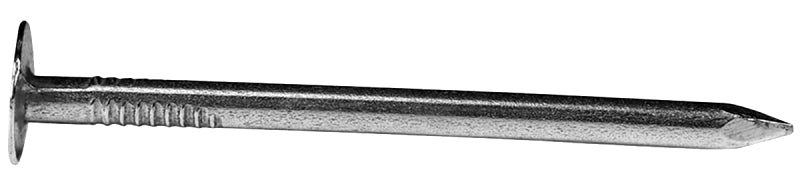 6921571.jpg