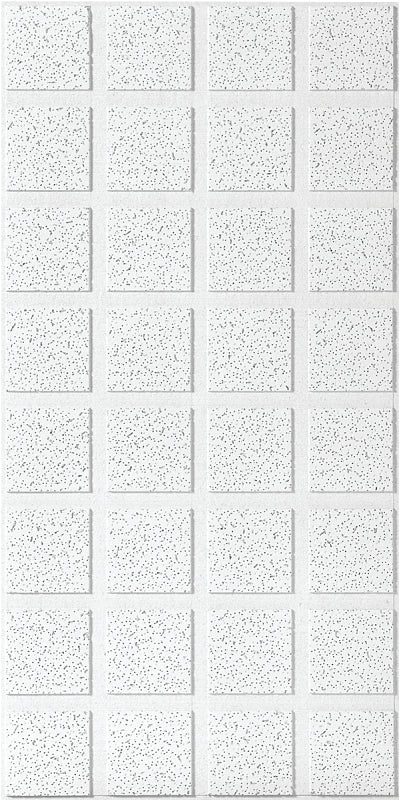USG R2862 Ceiling Panel