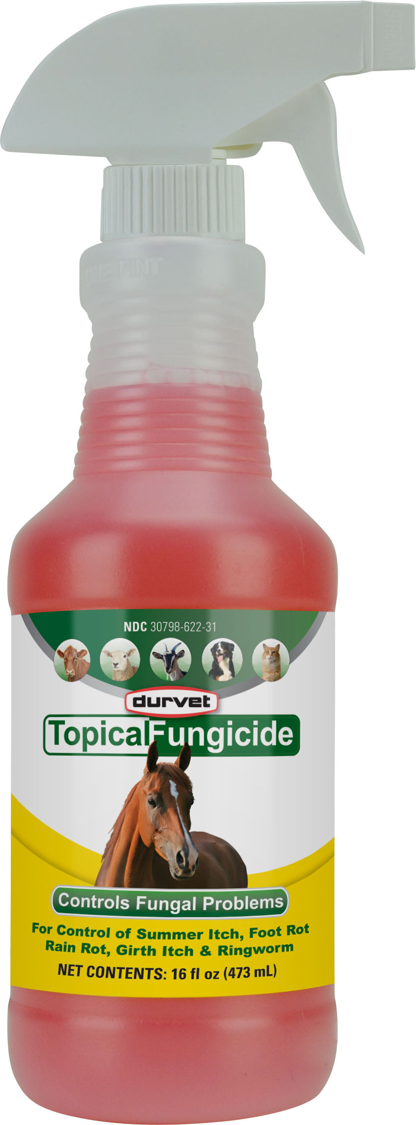 Durvet Topical Fungicide W/Sprayer, 16 oz - Sprays/Daubers