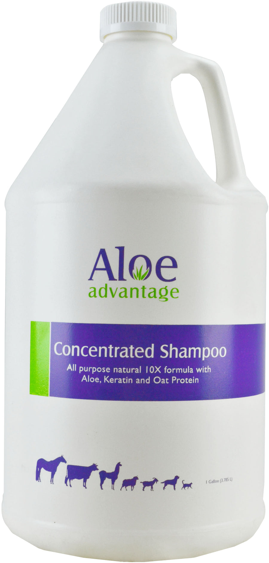 Aloe Advantage Concentrate Shampoo 10x, 1 gal