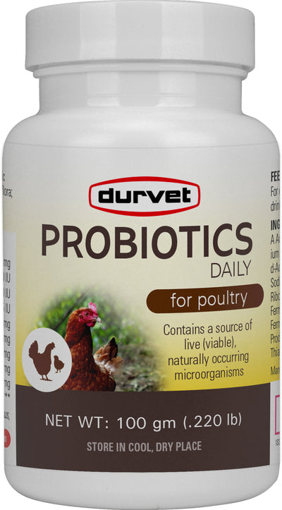 Durvet Probiotics Daily Poultry Supplement, 100 gm - Electrolytes