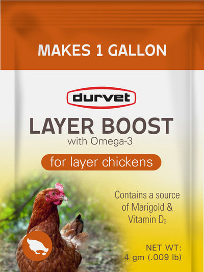 Durvet Layer Boost for Layer Chickens, 4 gm-40 pk - Electrolytes
