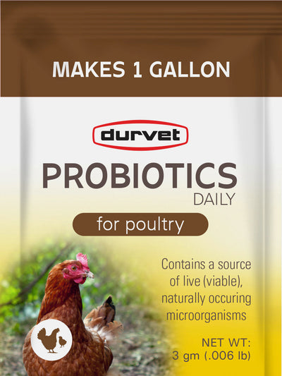 Durvet Probiotics Daily Poultry Supplement, 3 gm-40 pk - Electrolytes