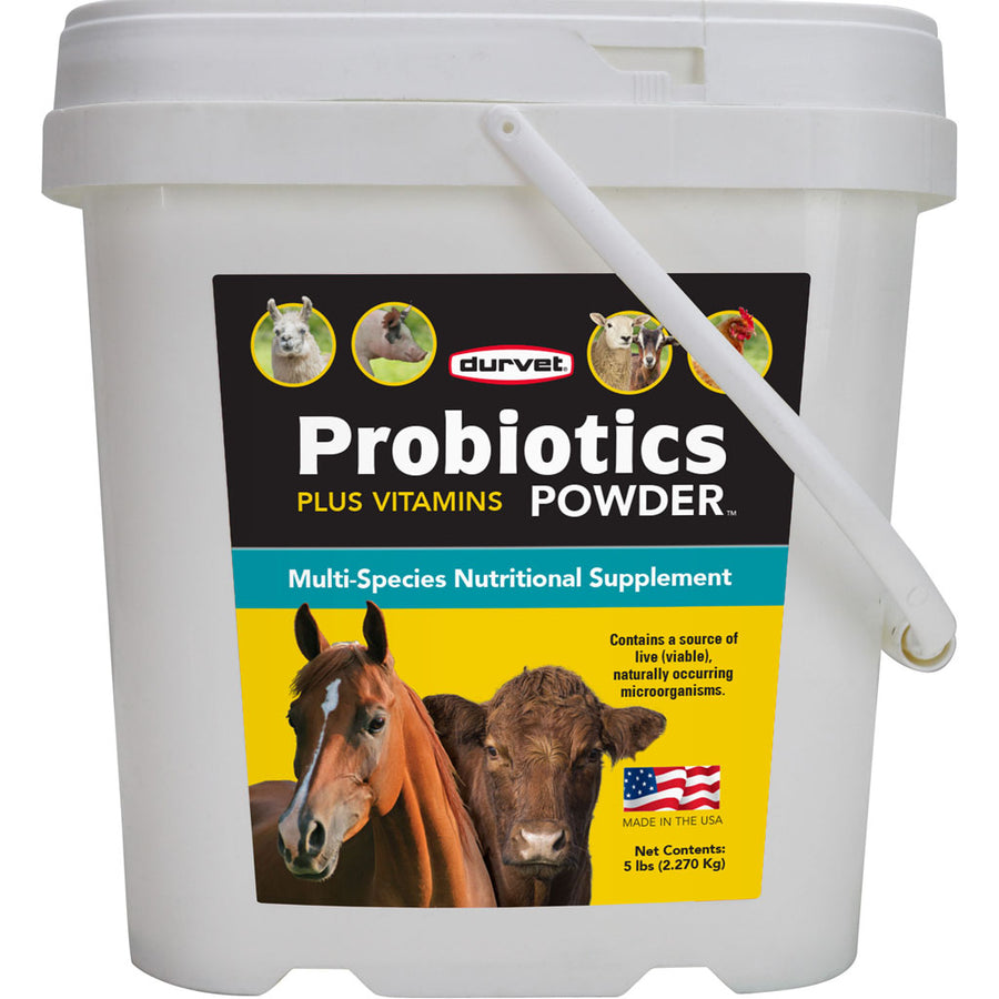 Durvet Probiotics Powder Plus Vitamins, 5 lb - Probiotic Powder/Granules