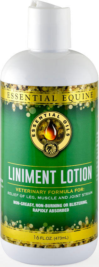 Essential Equine Liniment Lotion, 16 oz