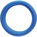 7003007.jpg